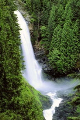 wallace falls