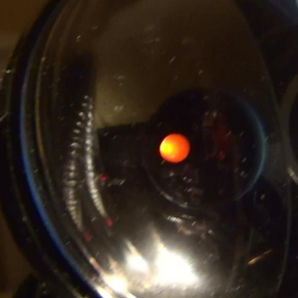 741000_10200245228632019_673241863_o